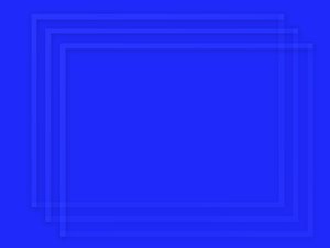 内控体系